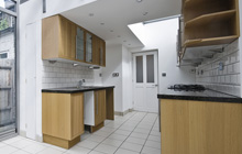 Paynes Green kitchen extension leads